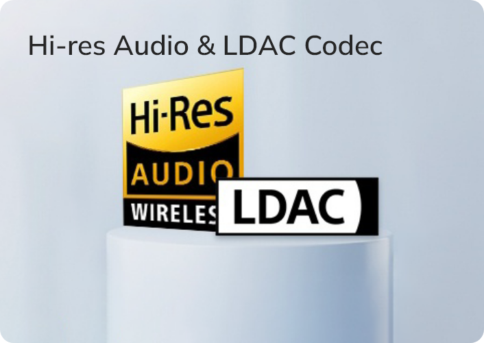 Hi-Res Audio & LDAC Codec Logo – Premium Wireless Audiotechnologie