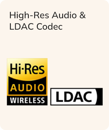 High-Res Audio & LDAC Codec Logo.