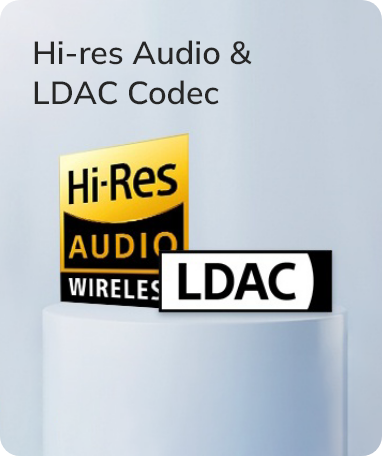 Hi-Res Audio und LDAC Codec Logos für hochwertige drahtlose Klangqualität.